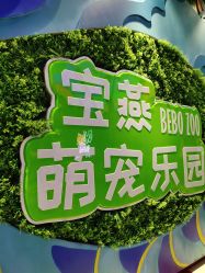 -宝燕乐园(闵行旗舰店)
