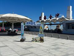 -碧海金沙