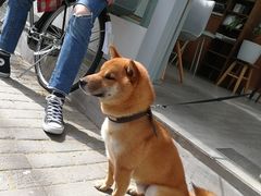 -Onirii Coffee(长乐路店)