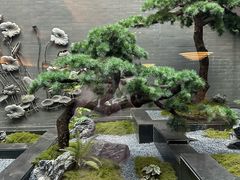 -曲水兰亭(北京四惠店)