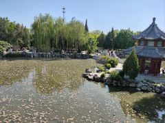 -莲池书院博物馆