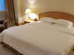 -南京维景国际大酒店(南京博物院店)