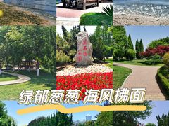 -黑石礁公园