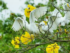 -Sony Store索尼(广州正佳店)