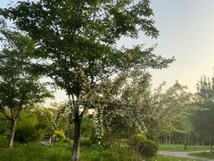 -江南大学(蠡湖校区)