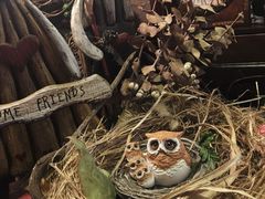 -春风·有糖(崇宁路店)