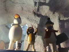 -郑州方特水上乐园