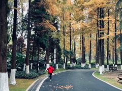 -苏州河梦清园环保主题公园