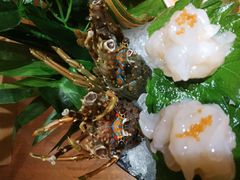 小青龙刺身-九井澤精致料理(金茂店)