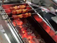 -白玉·朝鲜族烤串(南山店)