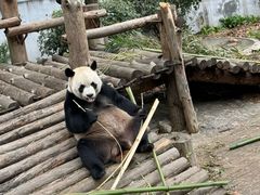 -黔灵山公园
