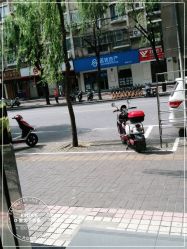 -金太子形象设计