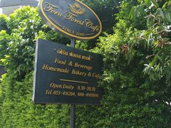 -Fern Forest Cafe