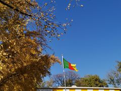 -三里屯东五街银杏大道