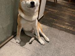 -三目仓咖啡(贤南路店)