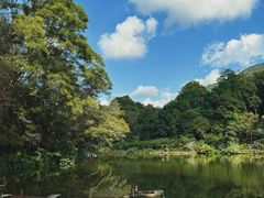 -深圳仙湖植物园