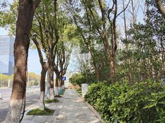 -金陵中学(河西分校)