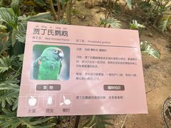 -南宫五洲植物乐园