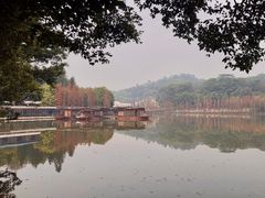 -三水森林公园