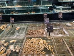 -浩运海鲜·16年专注青岛菜(石老人店)