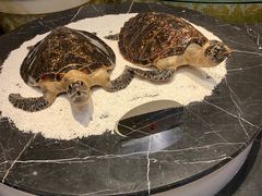 -电谷雅阁国际大酒店