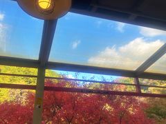 -岚山嵯峨野观光小火车
