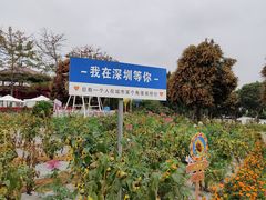 -光明农场大观园