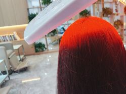 -碧莲盛·不剃发植发
