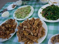 -宁悦海鲜家常菜馆(北戴河老虎石店)