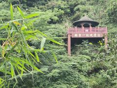 -靖西鹅泉风景区
