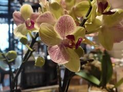 -南堂館川菜文化餐厅(天府店)