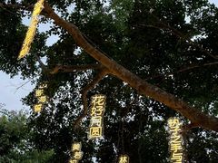 -鹿回头风景区