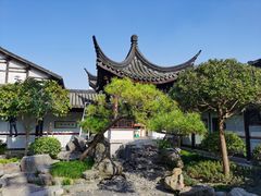 -碧丽宫大酒店(召稼楼店)