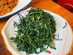 清香枸杞苗-国强手抓(北京西路店)