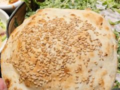 -黄三怪(动物园·无影山店)