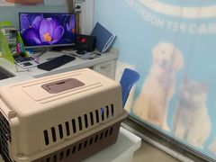 -瑞派旺宝宠物医院·犬猫全科综合·尿道专科(莲兴院)