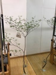 -Your Yoga Pilates·瑜伽普拉提习练室