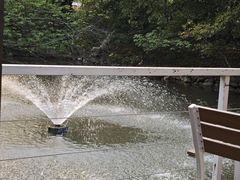 -芭厘农庄老字号·清远鸡