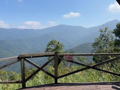 -海南霸王岭国家森林公园
