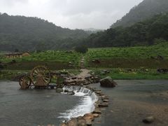 -广州市石门国家森林公园