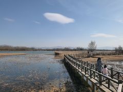 -野鸭湖国家湿地公园