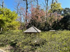 -上海滨江森林公园