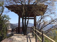 -少华山国家森林公园
