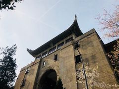 -武汉大学-樱园