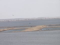 -卧龙湖