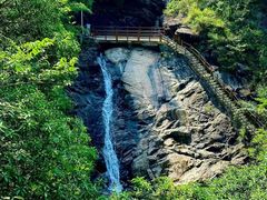 -广州白江湖森林公园