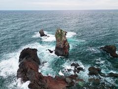 -涉地可支