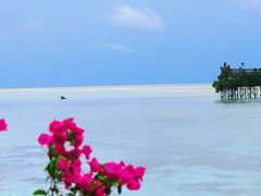 -卡帕莱度假村(西巴丹岛)