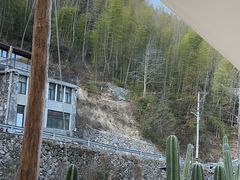 -MOJ coffee(瓯海泽雅水碓坑店)