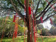 -中国科学院西双版纳热带植物园